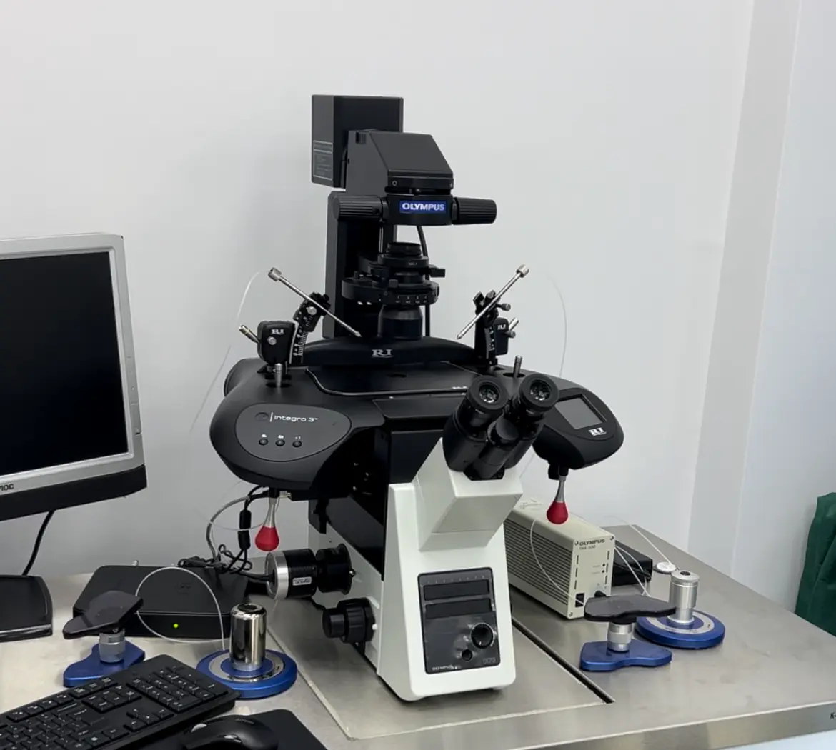 Teknologji IVF moderne